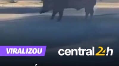 central24h.com.br no August 19, 2026
