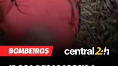 Militares do Corpo de Bombeiros de Minas Gerais (CBMMG) comemoraram, na noite desta segunda-feira (17)