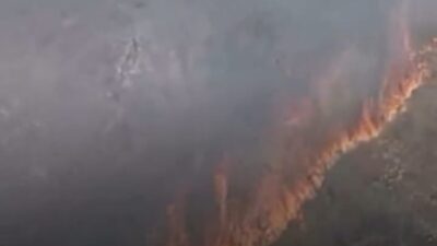 Incêndio atinge Mata do Cercadinho, no Buritis, em BH