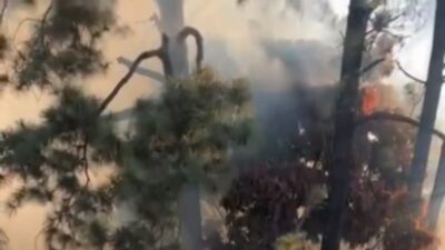 Incêndio atinge mata no Belvedere na tarde desta sexta-feira