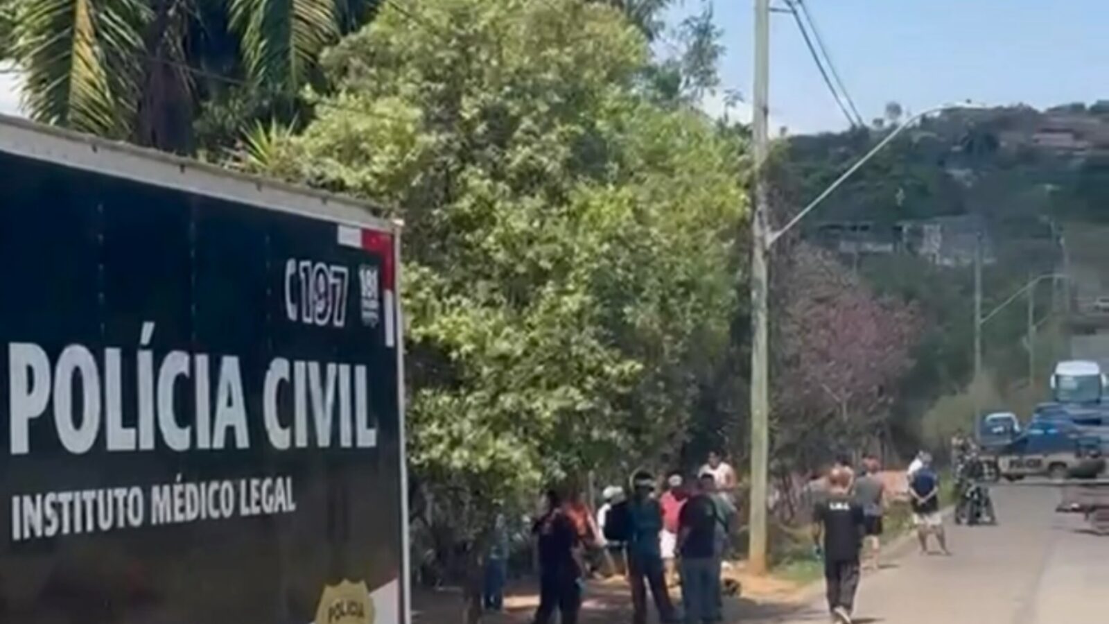 Motociclista morre após bater contra árvore