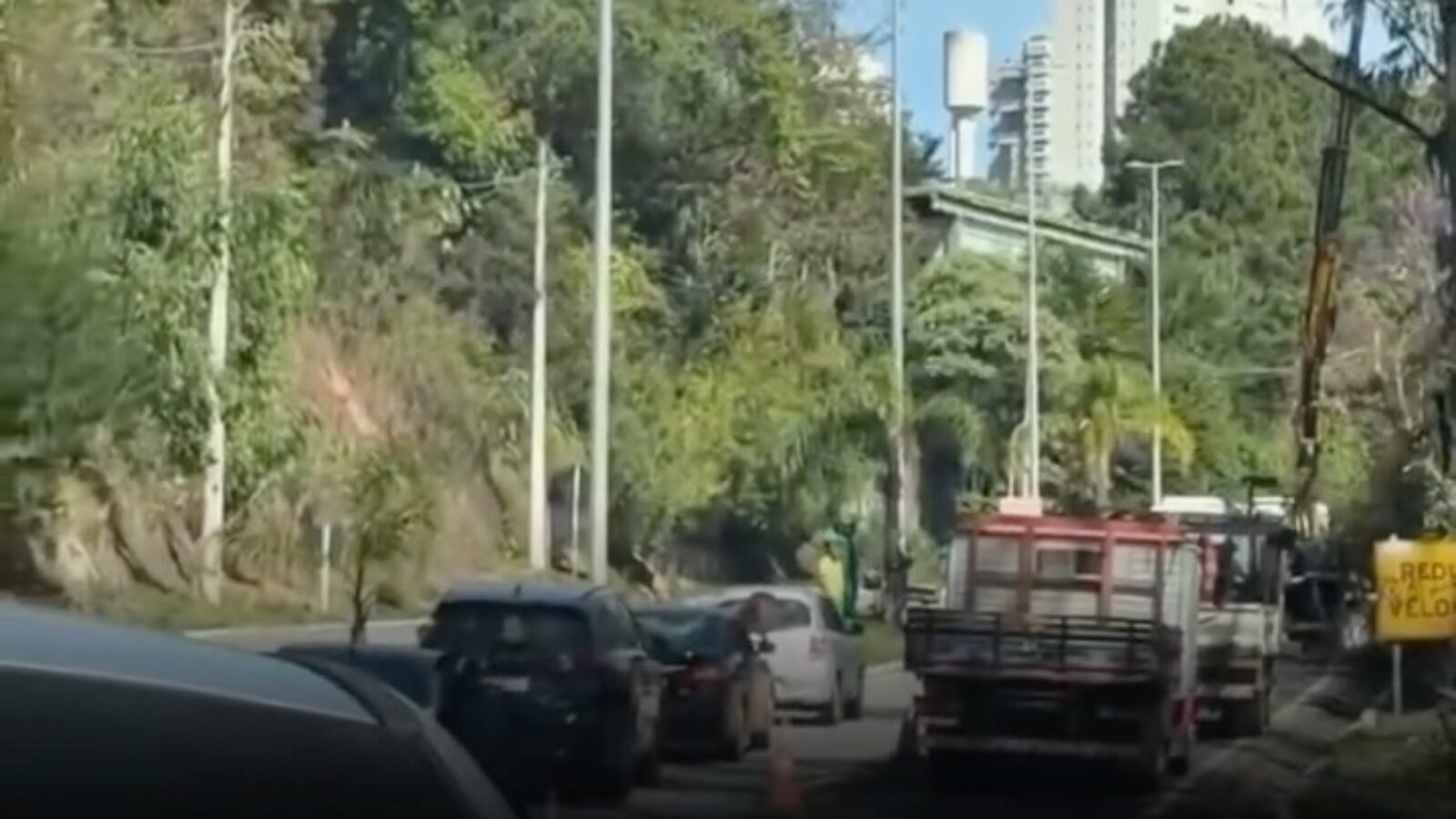 Manutenção com poda de árvores provoca lentidão na MG-030 no sentido Belo Horizonte neste sábado